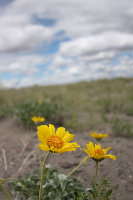 Photography by Nick Call